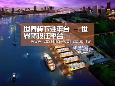 案例展示八