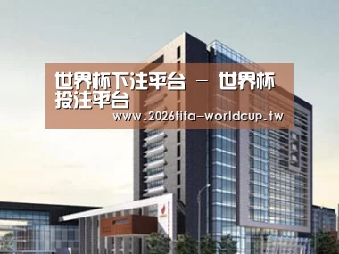 案例展示七