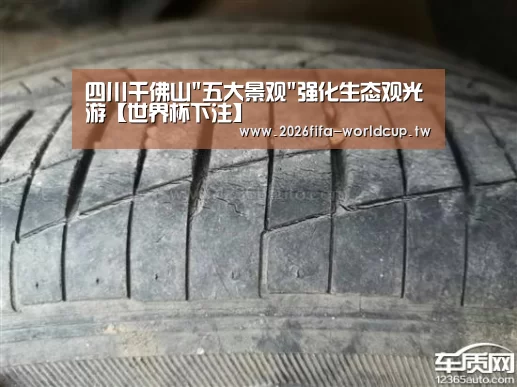世界杯下注平台
