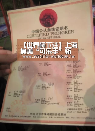 世界杯下注平台