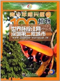 世界杯投注网-深圳第二批城市更新计划公布(图3) 世界杯投注网