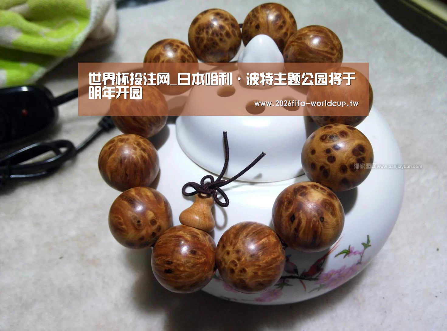 世界杯投注网_日本哈利·波特主题公园将于明年开园